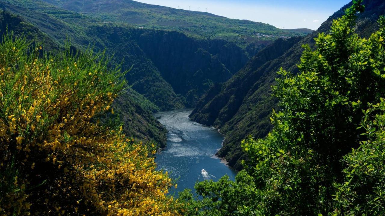 הוילה מונפורט דה למוס Morin Grey Casa En El Corazon De La Ribeira Sacra מראה חיצוני תמונה