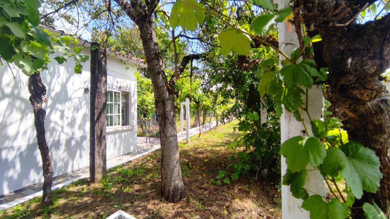 הוילה מונפורט דה למוס Morin Grey Casa En El Corazon De La Ribeira Sacra מראה חיצוני תמונה